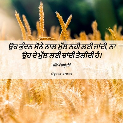 Picture 06 - ਅੱਯੂਬ 28:15 PANIRV - ਉਹ ਕੁੰਦਨ ਸੋਨੇ ਨਾਲ - Bible Verse Picture
