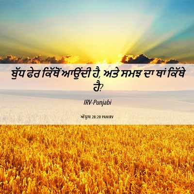 Picture 06 - ਅੱਯੂਬ 28:20 PANIRV - ਬੁੱਧ ਫੇਰ ਕਿੱਥੋਂ - Bible Verse Picture