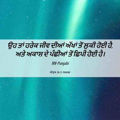 Picture 06 - ਅੱਯੂਬ 28:21 PANIRV - ਉਹ ਤਾਂ ਹਰੇਕ ਜੀਵ - Bible Verse Picture