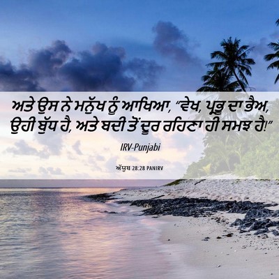 Picture 06 - ਅੱਯੂਬ 28:28 PANIRV - ਅਤੇ ਉਸ ਨੇ ਮਨੁੱਖ ਨੂੰ - Bible Verse Picture