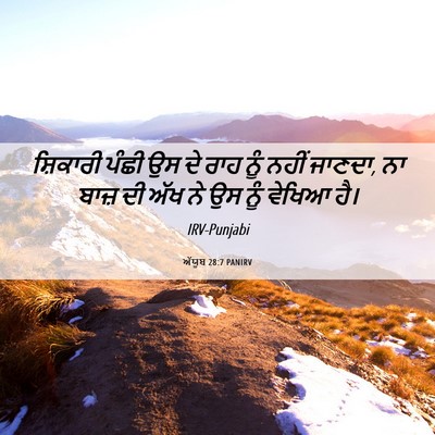Picture 06 - ਅੱਯੂਬ 28:7 PANIRV - ਸ਼ਿਕਾਰੀ ਪੰਛੀ ਉਸ ਦੇ - Bible Verse Picture