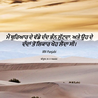 Picture 06 - ਅੱਯੂਬ 29:17 PANIRV - ਮੈਂ ਬੁਰਿਆਰ ਦੇ ਵੱਡੇ - Bible Verse Picture