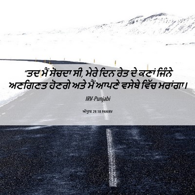 Picture 06 - ਅੱਯੂਬ 29:18 PANIRV - “ਤਦ ਮੈਂ ਸੋਚਦਾ ਸੀ, - Bible Verse Picture