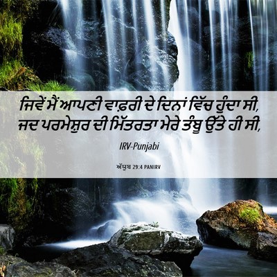 Picture 06 - ਅੱਯੂਬ 29:4 PANIRV - ਜਿਵੇਂ ਮੈਂ ਆਪਣੀ - Bible Verse Picture