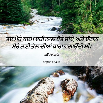 Picture 06 - ਅੱਯੂਬ 29:6 PANIRV - ਤਦ ਮੇਰੇ ਕਦਮ ਦਹੀਂ - Bible Verse Picture