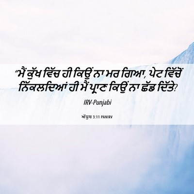Picture 06 - ਅੱਯੂਬ 3:11 PANIRV - “ਮੈਂ ਕੁੱਖ ਵਿੱਚ ਹੀ - Bible Verse Picture