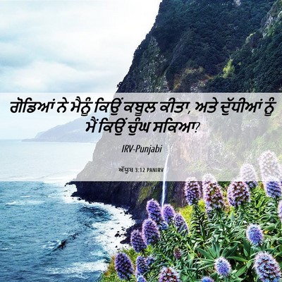 Picture 06 - ਅੱਯੂਬ 3:12 PANIRV - ਗੋਡਿਆਂ ਨੇ ਮੈਨੂੰ - Bible Verse Picture