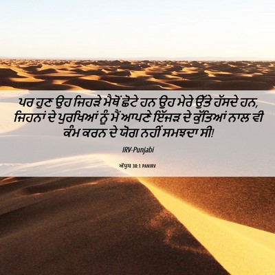 Picture 06 - ਅੱਯੂਬ 30:1 PANIRV - ਪਰ ਹੁਣ ਉਹ ਜਿਹੜੇ - Bible Verse Picture
