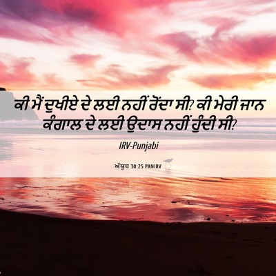 Picture 06 - ਅੱਯੂਬ 30:25 PANIRV - ਕੀ ਮੈਂ ਦੁਖੀਏ ਦੇ ਲਈ - Bible Verse Picture