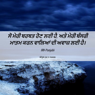 Picture 06 - ਅੱਯੂਬ 30:31 PANIRV - ਸੋ ਮੇਰੀ ਬਰਬਤ ਰੋਣ ਲਈ - Bible Verse Picture