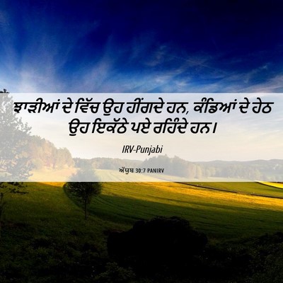 Picture 06 - ਅੱਯੂਬ 30:7 PANIRV - ਝਾੜੀਆਂ ਦੇ ਵਿੱਚ ਉਹ - Bible Verse Picture