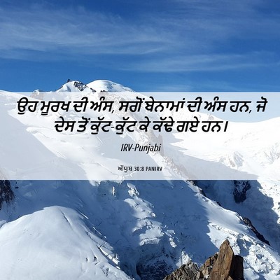 Picture 06 - ਅੱਯੂਬ 30:8 PANIRV - ਉਹ ਮੂਰਖ ਦੀ ਅੰਸ, - Bible Verse Picture