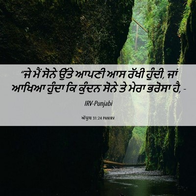 Picture 06 - ਅੱਯੂਬ 31:24 PANIRV - “ਜੇ ਮੈਂ ਸੋਨੇ ਉੱਤੇ - Bible Verse Picture