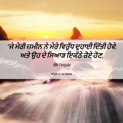 Picture 06 - ਅੱਯੂਬ 31:38 PANIRV - “ਜੇ ਮੇਰੀ ਜ਼ਮੀਨ ਨੇ - Bible Verse Picture
