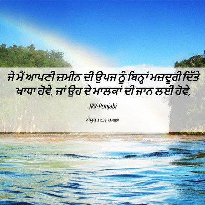 Picture 06 - ਅੱਯੂਬ 31:39 PANIRV - ਜੇ ਮੈਂ ਆਪਣੀ ਜ਼ਮੀਨ - Bible Verse Picture
