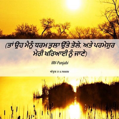 Picture 06 - ਅੱਯੂਬ 31:6 PANIRV - (ਤਾਂ ਉਹ ਮੈਨੂੰ ਧਰਮ - Bible Verse Picture