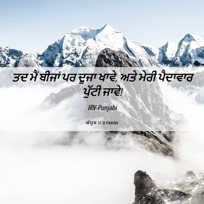 Picture 06 - ਅੱਯੂਬ 31:8 PANIRV - ਤਦ ਮੈਂ ਬੀਜਾਂ ਪਰ - Bible Verse Picture
