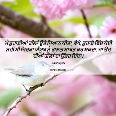 Picture 06 - ਅੱਯੂਬ 32:12 PANIRV - ਮੈਂ ਤੁਹਾਡੀਆਂ - Bible Verse Picture
