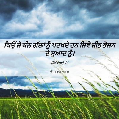 Picture 06 - ਅੱਯੂਬ 34:3 PANIRV - ਕਿਉਂ ਜੋ ਕੰਨ ਗੱਲਾਂ - Bible Verse Picture