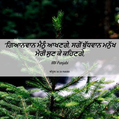 Picture 06 - ਅੱਯੂਬ 34:34 PANIRV - “ਗਿਆਨਵਾਨ ਮੈਨੂੰ - Bible Verse Picture