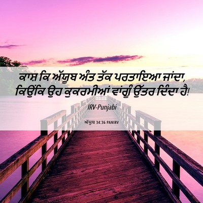 Picture 06 - ਅੱਯੂਬ 34:36 PANIRV - ਕਾਸ਼ ਕਿ ਅੱਯੂਬ ਅੰਤ - Bible Verse Picture