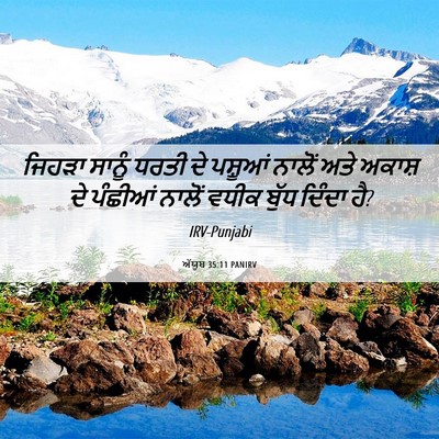 Picture 06 - ਅੱਯੂਬ 35:11 PANIRV - ਜਿਹੜਾ ਸਾਨੂੰ ਧਰਤੀ - Bible Verse Picture