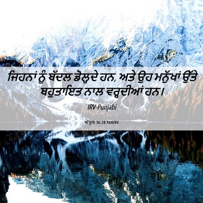 Picture 06 - ਅੱਯੂਬ 36:28 PANIRV - ਜਿਹਨਾਂ ਨੂੰ ਬੱਦਲ - Bible Verse Picture