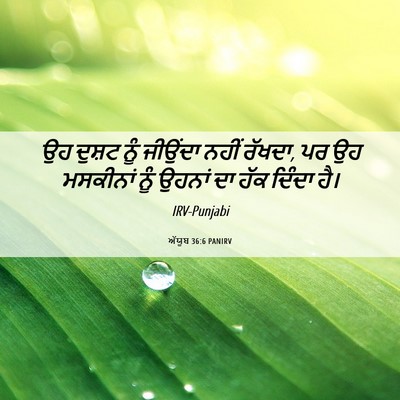 Picture 06 - ਅੱਯੂਬ 36:6 PANIRV - ਉਹ ਦੁਸ਼ਟ ਨੂੰ - Bible Verse Picture