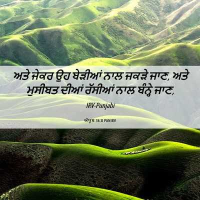 Picture 06 - ਅੱਯੂਬ 36:8 PANIRV - ਅਤੇ ਜੇਕਰ ਉਹ ਬੇੜੀਆਂ - Bible Verse Picture