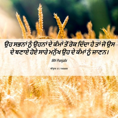 Picture 06 - ਅੱਯੂਬ 37:7 PANIRV - ਉਹ ਸਭਨਾਂ ਨੂੰ ਉਹਨਾਂ - Bible Verse Picture