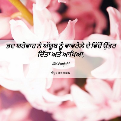 Picture 06 - ਅੱਯੂਬ 38:1 PANIRV - ਤਦ ਯਹੋਵਾਹ ਨੇ ਅੱਯੂਬ - Bible Verse Picture
