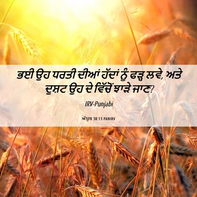 Picture 06 - ਅੱਯੂਬ 38:13 PANIRV - ਭਈ ਉਹ ਧਰਤੀ ਦੀਆਂ - Bible Verse Picture