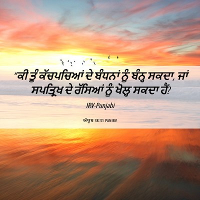 Picture 06 - ਅੱਯੂਬ 38:31 PANIRV - “ਕੀ ਤੂੰ ਕੱਚਪਚਿਆਂ - Bible Verse Picture