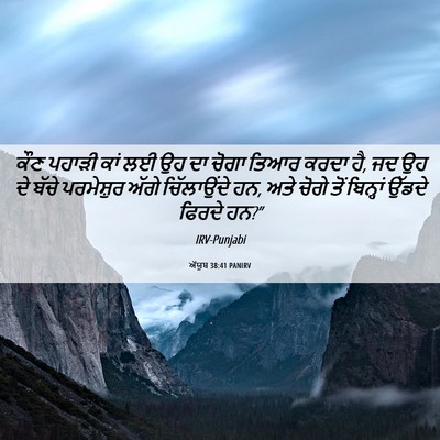 Picture 06 - ਅੱਯੂਬ 38:41 PANIRV - ਕੌਣ ਪਹਾੜੀ ਕਾਂ ਲਈ ਉਹ - Bible Verse Picture