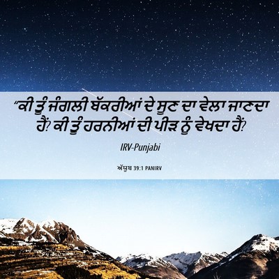 Picture 06 - ਅੱਯੂਬ 39:1 PANIRV - “ਕੀ ਤੂੰ ਜੰਗਲੀ - Bible Verse Picture