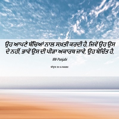 Picture 06 - ਅੱਯੂਬ 39:16 PANIRV - ਉਹ ਆਪਣੇ ਬੱਚਿਆਂ ਨਾਲ - Bible Verse Picture