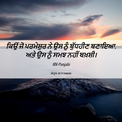 Picture 06 - ਅੱਯੂਬ 39:17 PANIRV - ਕਿਉਂ ਜੋ ਪਰਮੇਸ਼ੁਰ - Bible Verse Picture