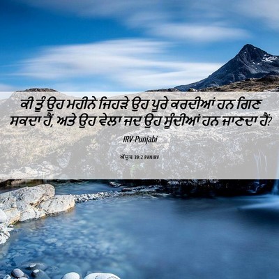 Picture 06 - ਅੱਯੂਬ 39:2 PANIRV - ਕੀ ਤੂੰ ਉਹ ਮਹੀਨੇ - Bible Verse Picture
