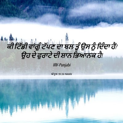 Picture 06 - ਅੱਯੂਬ 39:20 PANIRV - ਕੀ ਟਿੱਡੀ ਵਾਂਗੂੰ - Bible Verse Picture