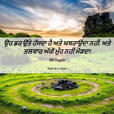 Picture 06 - ਅੱਯੂਬ 39:22 PANIRV - ਉਹ ਡਰ ਉੱਤੇ ਹੱਸਦਾ ਹੈ - Bible Verse Picture