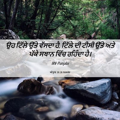 Picture 06 - ਅੱਯੂਬ 39:28 PANIRV - ਉਹ ਟਿੱਲੇ ਉੱਤੇ - Bible Verse Picture