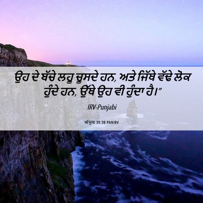 Picture 06 - ਅੱਯੂਬ 39:30 PANIRV - ਉਹ ਦੇ ਬੱਚੇ ਲਹੂ - Bible Verse Picture