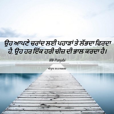 Picture 06 - ਅੱਯੂਬ 39:8 PANIRV - ਉਹ ਆਪਣੇ ਚਰਾਂਦ ਲਈ - Bible Verse Picture