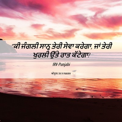 Picture 06 - ਅੱਯੂਬ 39:9 PANIRV - “ਕੀ ਜੰਗਲੀ ਸਾਨ੍ਹ - Bible Verse Picture