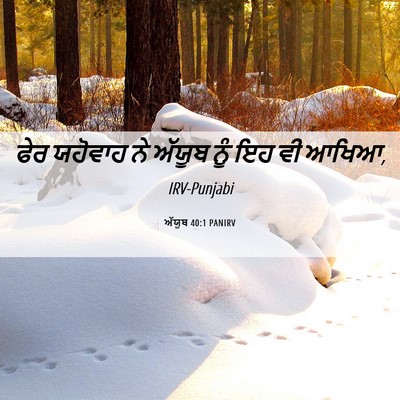Picture 06 - ਅੱਯੂਬ 40:1 PANIRV - ਫੇਰ ਯਹੋਵਾਹ ਨੇ - Bible Verse Picture