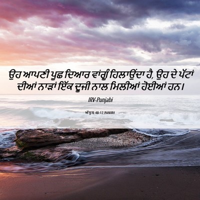 Picture 06 - ਅੱਯੂਬ 40:17 PANIRV - ਉਹ ਆਪਣੀ ਪੂਛ ਦਿਆਰ - Bible Verse Picture