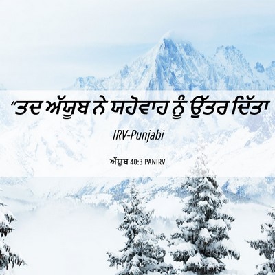 Picture 06 - ਅੱਯੂਬ 40:3 PANIRV - “ਤਦ ਅੱਯੂਬ ਨੇ - Bible Verse Picture