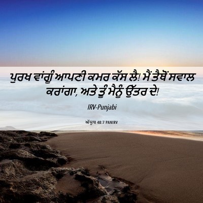 Picture 06 - ਅੱਯੂਬ 40:7 PANIRV - ਪੁਰਖ ਵਾਂਗੂੰ ਆਪਣੀ - Bible Verse Picture