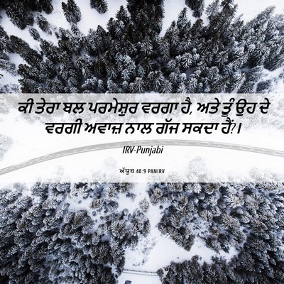 Picture 06 - ਅੱਯੂਬ 40:9 PANIRV - ਕੀ ਤੇਰਾ ਬਲ - Bible Verse Picture