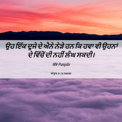 Picture 06 - ਅੱਯੂਬ 41:16 PANIRV - ਉਹ ਇੱਕ ਦੂਜੇ ਦੇ ਐਨੇ - Bible Verse Picture